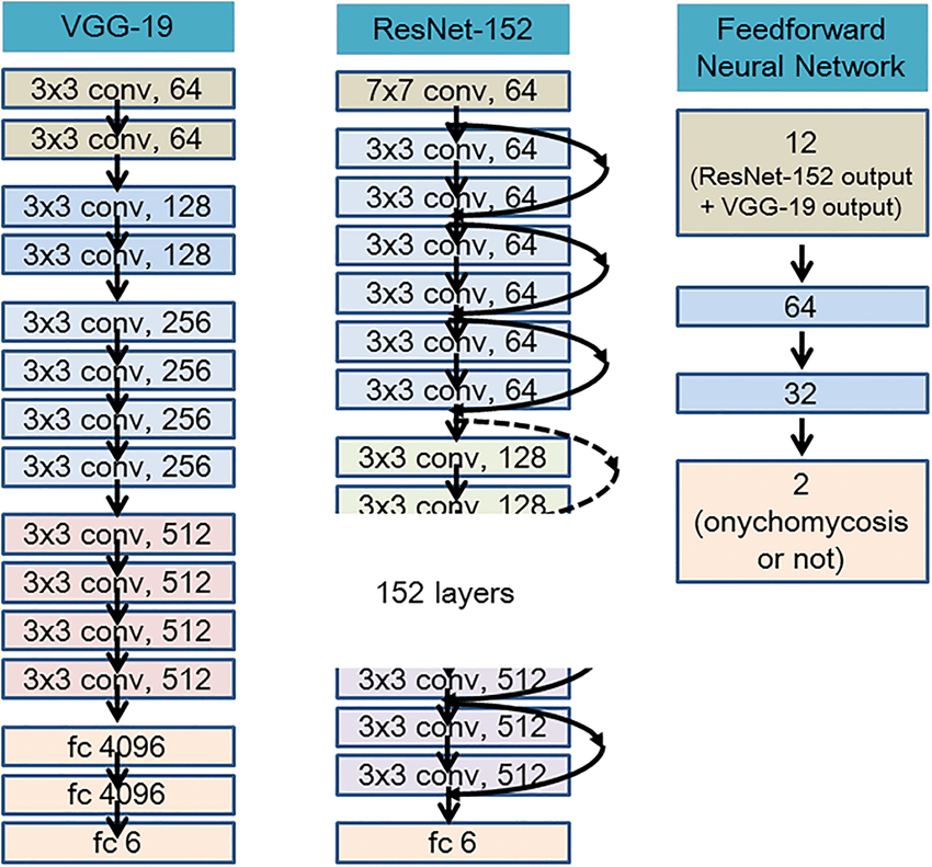 Architecture Of Resnet D And Resnet S For The Image Classification My